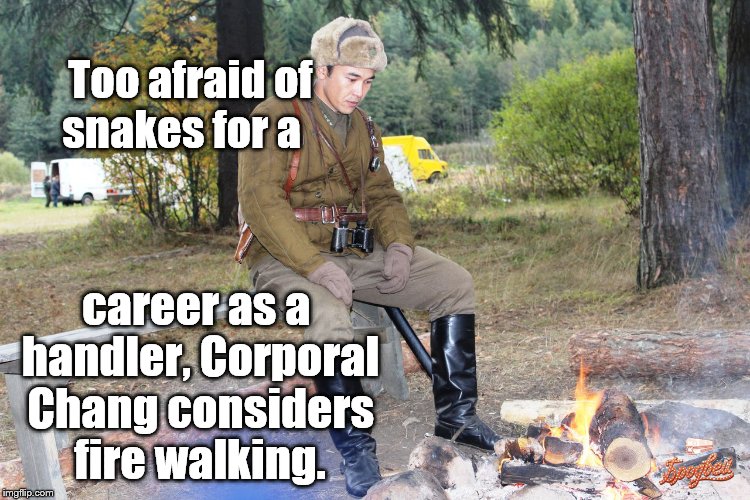 Corporal Chen Chang | Too afraid of      snakes for a career as a handler, Corporal Chang considers fire walking. | image tagged in corporal chen chang | made w/ Imgflip meme maker
