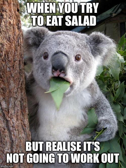 Surprised Koala Meme | WHEN YOU TRY TO EAT SALAD; BUT REALISE IT'S NOT GOING TO WORK OUT | image tagged in memes,surprised koala | made w/ Imgflip meme maker