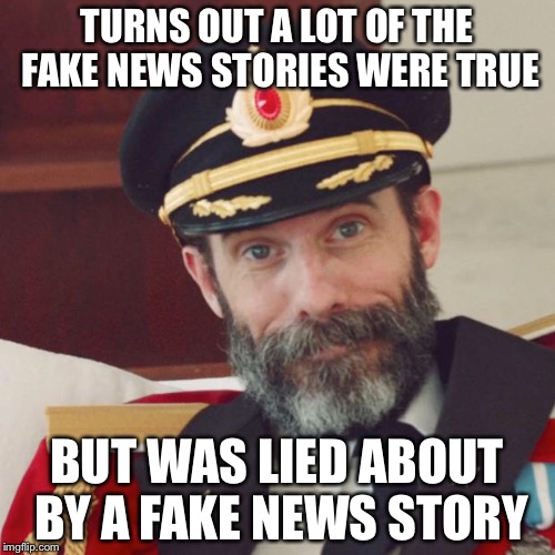 Captain Obvious | TURNS OUT A LOT OF THE FAKE NEWS STORIES WERE TRUE; BUT WAS LIED ABOUT BY A FAKE NEWS STORY | image tagged in captain obvious | made w/ Imgflip meme maker