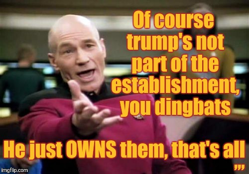 Picard Wtf Meme | Of course trump's not part of the establishment, you dingbats; ,,, He just OWNS them, that's all | image tagged in memes,picard wtf | made w/ Imgflip meme maker