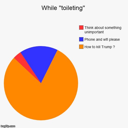 Toilet time | image tagged in funny,pie charts | made w/ Imgflip chart maker