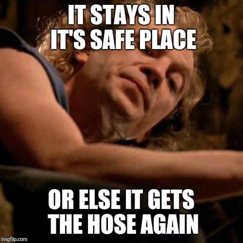 Buffalo Bill | IT STAYS IN IT'S SAFE PLACE; OR ELSE IT GETS THE HOSE AGAIN | image tagged in buffalo bill | made w/ Imgflip meme maker