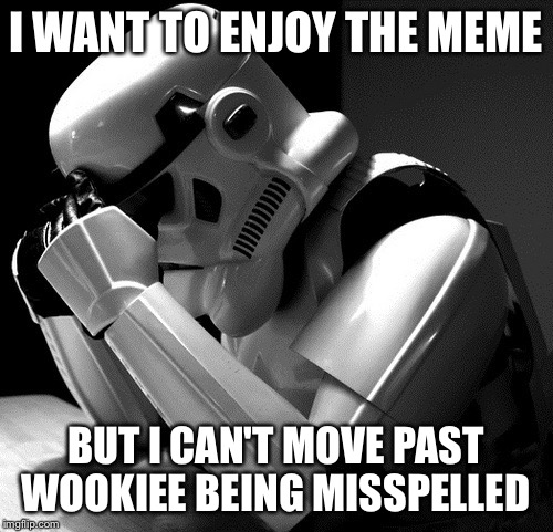 Sad Stormtrooper | I WANT TO ENJOY THE MEME BUT I CAN'T MOVE PAST WOOKIEE BEING MISSPELLED | image tagged in sad stormtrooper | made w/ Imgflip meme maker
