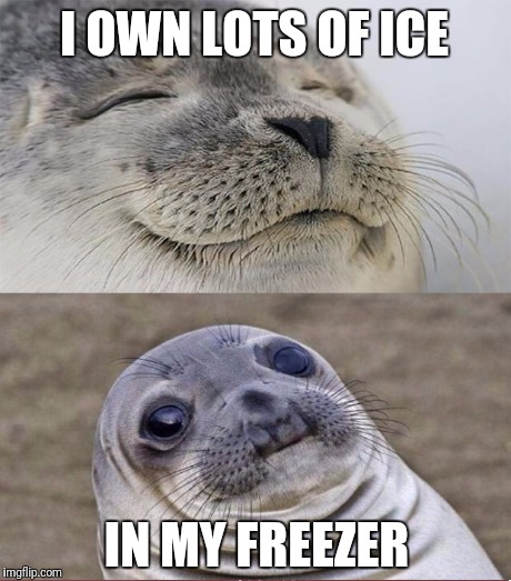 I OWN LOTS OF ICE IN MY FREEZER | made w/ Imgflip meme maker