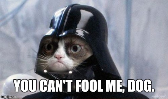 YOU CAN'T FOOL ME, DOG. | made w/ Imgflip meme maker
