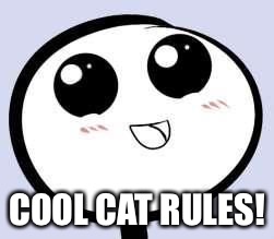 just cute | COOL CAT RULES! | image tagged in just cute | made w/ Imgflip meme maker
