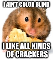 I AIN'T COLOR BLIND I LIKE ALL KINDS OF CRACKERS | made w/ Imgflip meme maker