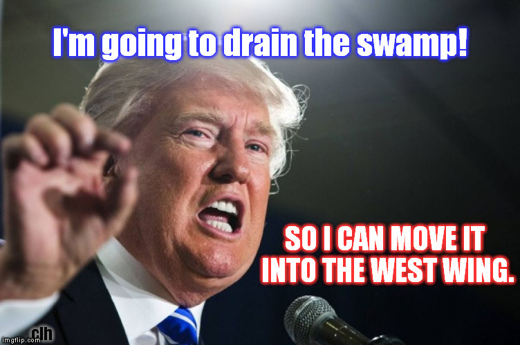 donald trump | I'm going to drain the swamp! SO I CAN MOVE IT INTO THE WEST WING. clh | image tagged in donald trump,drumpf,drain the swamp | made w/ Imgflip meme maker
