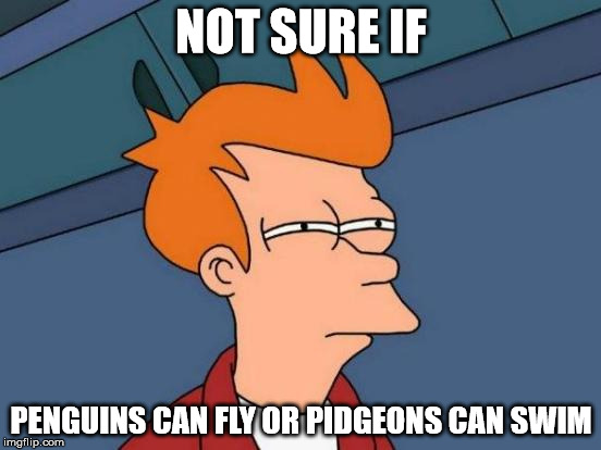 Futurama Fry | NOT SURE IF; PENGUINS CAN FLY OR PIDGEONS CAN SWIM | image tagged in memes,futurama fry | made w/ Imgflip meme maker