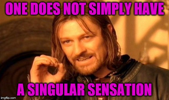 One Does Not Simply Meme | ONE DOES NOT SIMPLY HAVE; A SINGULAR SENSATION | image tagged in memes,one does not simply | made w/ Imgflip meme maker