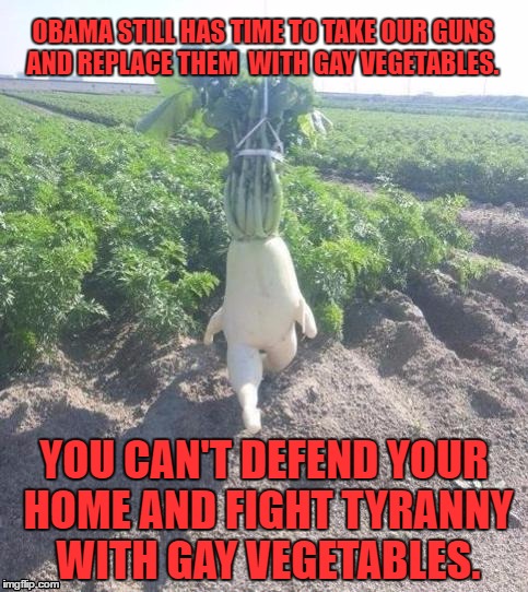 Gay Veggies | OBAMA STILL HAS TIME TO TAKE OUR GUNS AND REPLACE THEM  WITH GAY VEGETABLES. YOU CAN'T DEFEND YOUR HOME AND FIGHT TYRANNY WITH GAY VEGETABLES. | image tagged in walking vegetable,gay vegetables,veggies,vegetables,take our guns | made w/ Imgflip meme maker