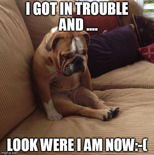 bulldogsad | I GOT IN TROUBLE AND .... LOOK WERE I AM NOW:-( | image tagged in bulldogsad | made w/ Imgflip meme maker
