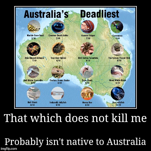 I mean, WTF Oz? | image tagged in funny,demotivationals,australia,deadly animals | made w/ Imgflip demotivational maker