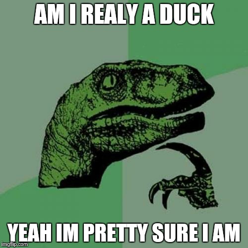 Philosoraptor | AM I REALY A DUCK; YEAH IM PRETTY SURE I AM | image tagged in memes,philosoraptor | made w/ Imgflip meme maker