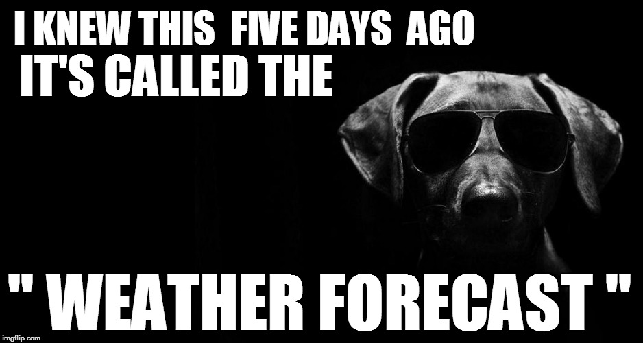 I KNEW THIS  FIVE DAYS  AGO IT'S CALLED THE " WEATHER FORECAST " | made w/ Imgflip meme maker