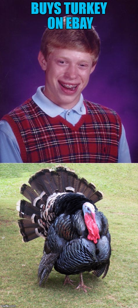 BUYS TURKEY ON EBAY | made w/ Imgflip meme maker