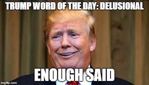 Is there really any need for this? | TRUMP WORD OF THE DAY: DELUSIONAL; ENOUGH SAID | image tagged in trump | made w/ Imgflip meme maker