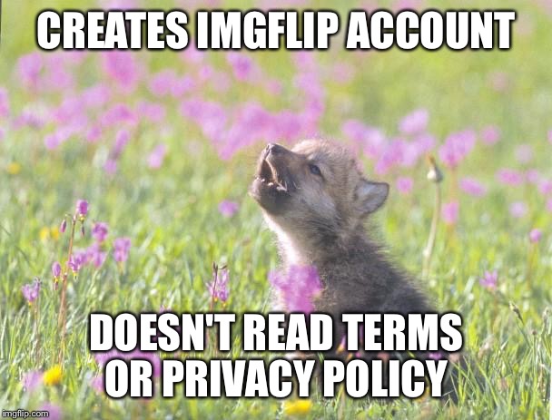 Thug life  | CREATES IMGFLIP ACCOUNT; DOESN'T READ TERMS OR PRIVACY POLICY | image tagged in memes,baby insanity wolf,imgflip,terms and conditions,terms of service,privacy | made w/ Imgflip meme maker