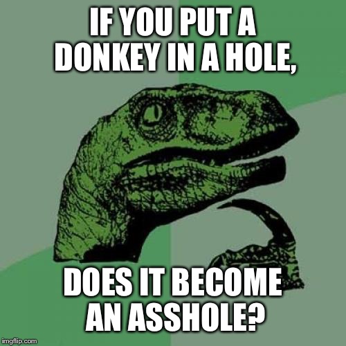Philosoraptor | IF YOU PUT A DONKEY IN A HOLE, DOES IT BECOME AN ASSHOLE? | image tagged in memes,philosoraptor | made w/ Imgflip meme maker