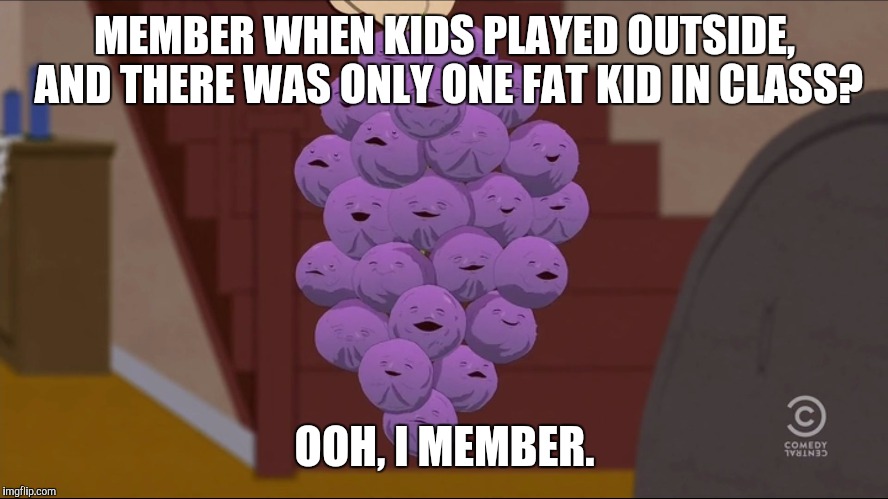 Member Berries | MEMBER WHEN KIDS PLAYED OUTSIDE, AND THERE WAS ONLY ONE FAT KID IN CLASS? OOH, I MEMBER. | image tagged in memes,member berries | made w/ Imgflip meme maker