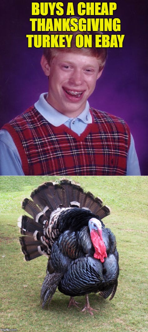 Inspired by PapiWS70 | BUYS A CHEAP THANKSGIVING TURKEY ON EBAY | image tagged in memes,bad luck brian,thanksgiving,thanksgiving turkey,shopping,animals | made w/ Imgflip meme maker