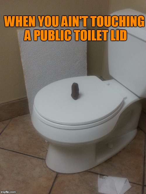 He really stuck the landing though. | WHEN YOU AIN'T TOUCHING A PUBLIC TOILET LID | image tagged in public restrooms | made w/ Imgflip meme maker