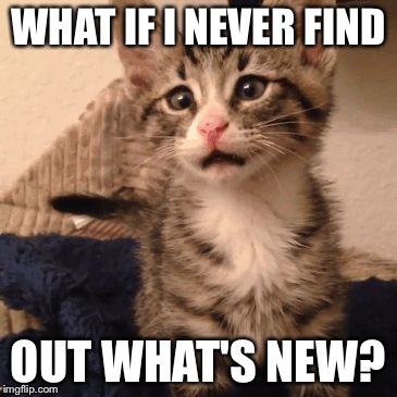 WHAT IF I NEVER FIND; OUT WHAT'S NEW? | image tagged in what's new pussycat | made w/ Imgflip meme maker
