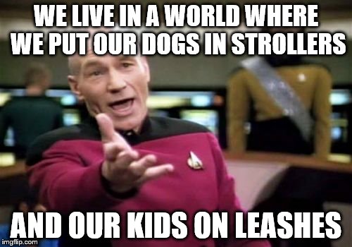 Picard Wtf | WE LIVE IN A WORLD WHERE WE PUT OUR DOGS IN STROLLERS; AND OUR KIDS ON LEASHES | image tagged in memes,picard wtf | made w/ Imgflip meme maker