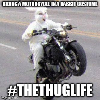 #TheThugLife | RIDING A MOTORCYCLE IN A RABBIT COSTUME; #THETHUGLIFE | image tagged in funny bunny motorcycle wheelie,thug life,rabbits,costume,funny,memes | made w/ Imgflip meme maker
