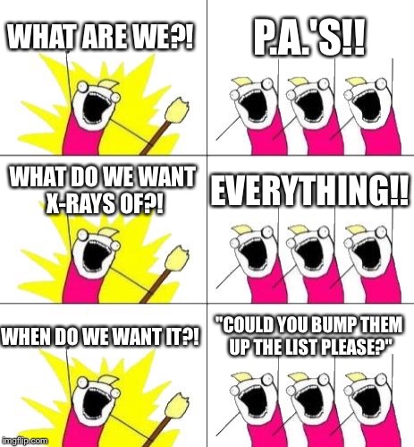 What Do We Want 3 | WHAT ARE WE?! P.A.'S!! WHAT DO WE WANT X-RAYS OF?! EVERYTHING!! WHEN DO WE WANT IT?! "COULD YOU BUMP THEM UP THE LIST PLEASE?" | image tagged in memes,what do we want 3 | made w/ Imgflip meme maker