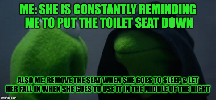 Evil Kermit Meme | ME: SHE IS CONSTANTLY REMINDING ME TO PUT THE TOILET SEAT DOWN; ALSO ME: REMOVE THE SEAT WHEN SHE GOES TO SLEEP & LET HER FALL IN WHEN SHE GOES TO USE IT IN THE MIDDLE OF THE NIGHT | image tagged in evil kermit | made w/ Imgflip meme maker