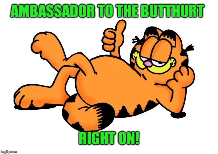 AMBASSADOR TO THE BUTTHURT RIGHT ON! | made w/ Imgflip meme maker