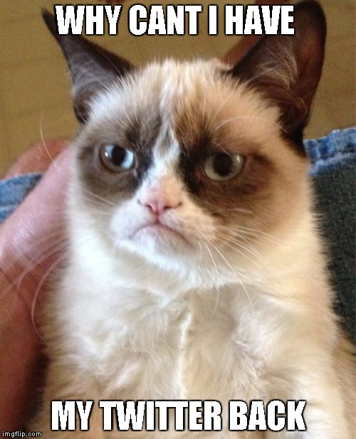 Grumpy Cat | WHY CANT I HAVE; MY TWITTER BACK | image tagged in memes,grumpy cat | made w/ Imgflip meme maker