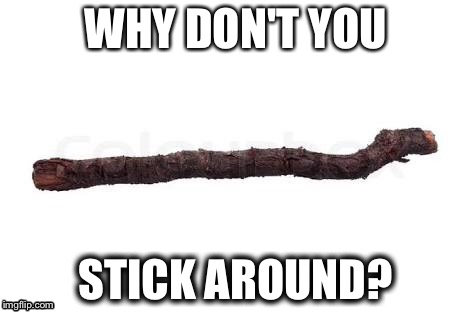 Sticking Around | WHY DON'T YOU; STICK AROUND? | image tagged in stick,meme,memes,dumb,bad pun | made w/ Imgflip meme maker