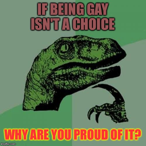 It's the same as saying "white pride."
Take it from someone who is gay. | IF BEING GAY ISN'T A CHOICE; WHY ARE YOU PROUD OF IT? | image tagged in memes,philosoraptor | made w/ Imgflip meme maker