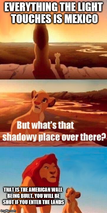 Simba Shadowy Place Meme | EVERYTHING THE LIGHT TOUCHES IS MEXICO; THAT IS THE AMERICAN WALL BEING BUILT. YOU WILL BE SHOT IF YOU ENTER THE LANDS | image tagged in memes,simba shadowy place | made w/ Imgflip meme maker