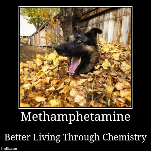 image tagged in funny,demotivationals | made w/ Imgflip demotivational maker