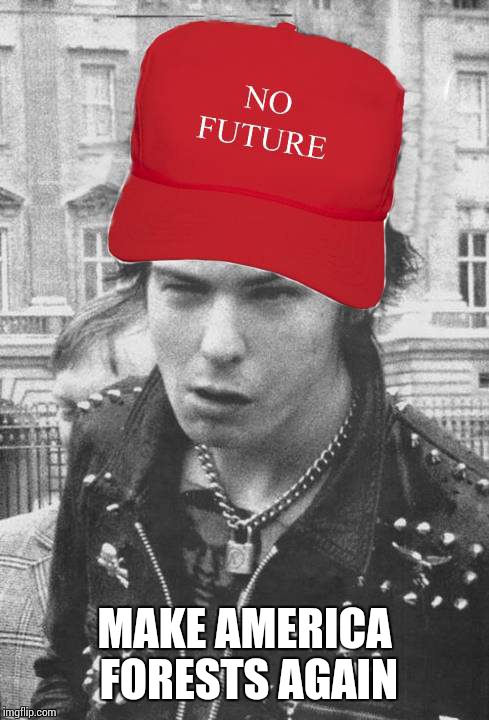 MAKE AMERICA FORESTS AGAIN | image tagged in memes,sid vicious,no future | made w/ Imgflip meme maker