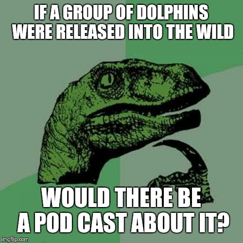 Philosoraptor | IF A GROUP OF DOLPHINS WERE RELEASED INTO THE WILD; WOULD THERE BE A POD CAST ABOUT IT? | image tagged in memes,philosoraptor | made w/ Imgflip meme maker