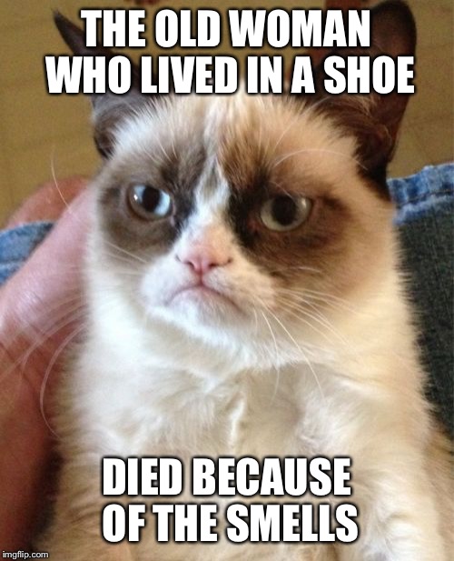 Grumpy Cat | THE OLD WOMAN WHO LIVED IN A SHOE; DIED BECAUSE OF THE SMELLS | image tagged in memes,grumpy cat | made w/ Imgflip meme maker