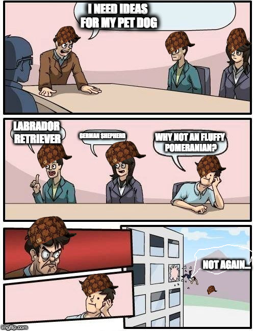 Boardroom Meeting Suggestion | I NEED IDEAS FOR MY PET DOG; LABRADOR RETRIEVER; GERMAN SHEPHERD; WHY NOT AN FLUFFY POMERANIAN? NOT AGAIN... | image tagged in memes,boardroom meeting suggestion,scumbag | made w/ Imgflip meme maker