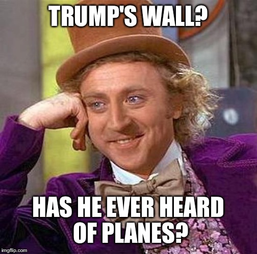 Creepy Condescending Wonka Meme | TRUMP'S WALL? HAS HE EVER HEARD OF PLANES? | image tagged in memes,creepy condescending wonka | made w/ Imgflip meme maker