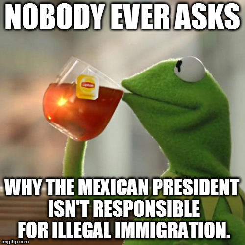 But That's None Of My Business | NOBODY EVER ASKS; WHY THE MEXICAN PRESIDENT ISN'T RESPONSIBLE FOR ILLEGAL IMMIGRATION. | image tagged in memes,but thats none of my business,kermit the frog,trump immigration policy,illegal immigration | made w/ Imgflip meme maker