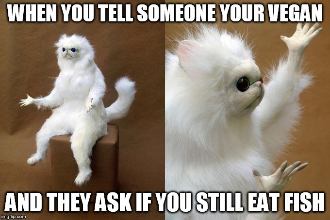 Persian Cat Room Guardian | WHEN YOU TELL SOMEONE YOUR VEGAN; AND THEY ASK IF YOU STILL EAT FISH | image tagged in memes,persian cat room guardian | made w/ Imgflip meme maker