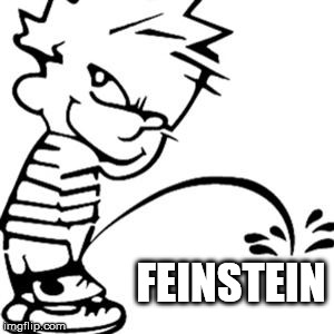piss on you | FEINSTEIN | image tagged in piss on you | made w/ Imgflip meme maker