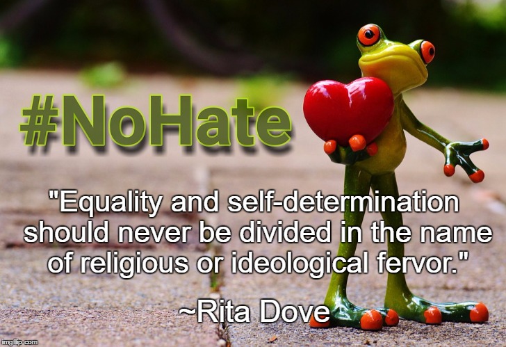 No Fundamentalism Frog | "Equality and self-determination should never be divided in the name of religious or ideological fervor."; ~Rita Dove | image tagged in no hate frog,rita dove,equality,fundamentalists | made w/ Imgflip meme maker
