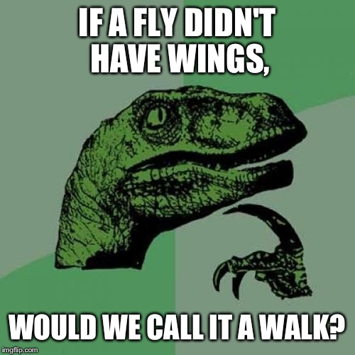 Philosoraptor | IF A FLY DIDN'T HAVE WINGS, WOULD WE CALL IT A WALK? | image tagged in memes,philosoraptor | made w/ Imgflip meme maker