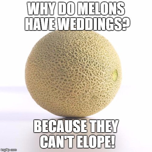 Honey, I Dew | WHY DO MELONS HAVE WEDDINGS? BECAUSE THEY CAN'T ELOPE! | image tagged in melon,cantaloupe,honeydew,puns | made w/ Imgflip meme maker