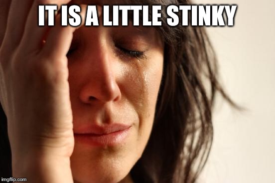 First World Problems Meme | IT IS A LITTLE STINKY | image tagged in memes,first world problems | made w/ Imgflip meme maker