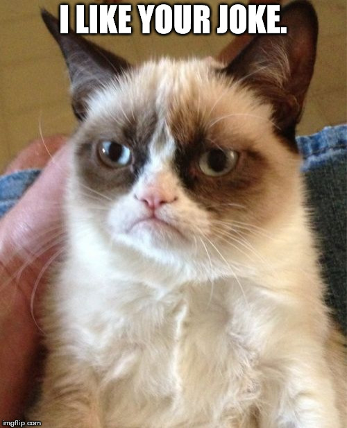 Grumpy Cat Meme | I LIKE YOUR JOKE. | image tagged in memes,grumpy cat | made w/ Imgflip meme maker